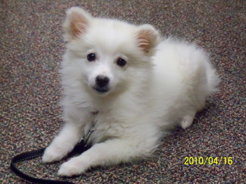 100_0220 [800x600].JPG